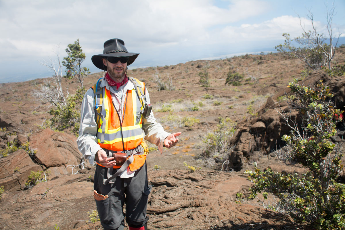 A volcanologist surveys a hardened lava flow in Hawaii Volcanoes National Park.