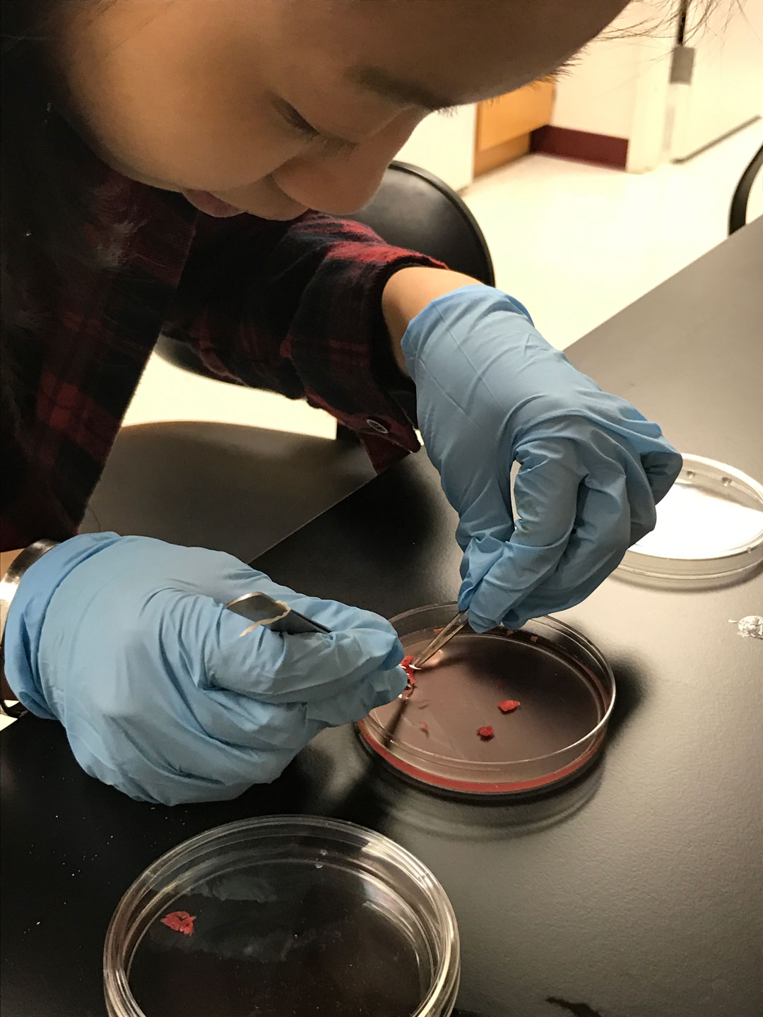 Katie-Luc-prepares-sample